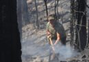 Hungaria menyampaikan belasungkawa pada korban kebakaran hutan di Turki